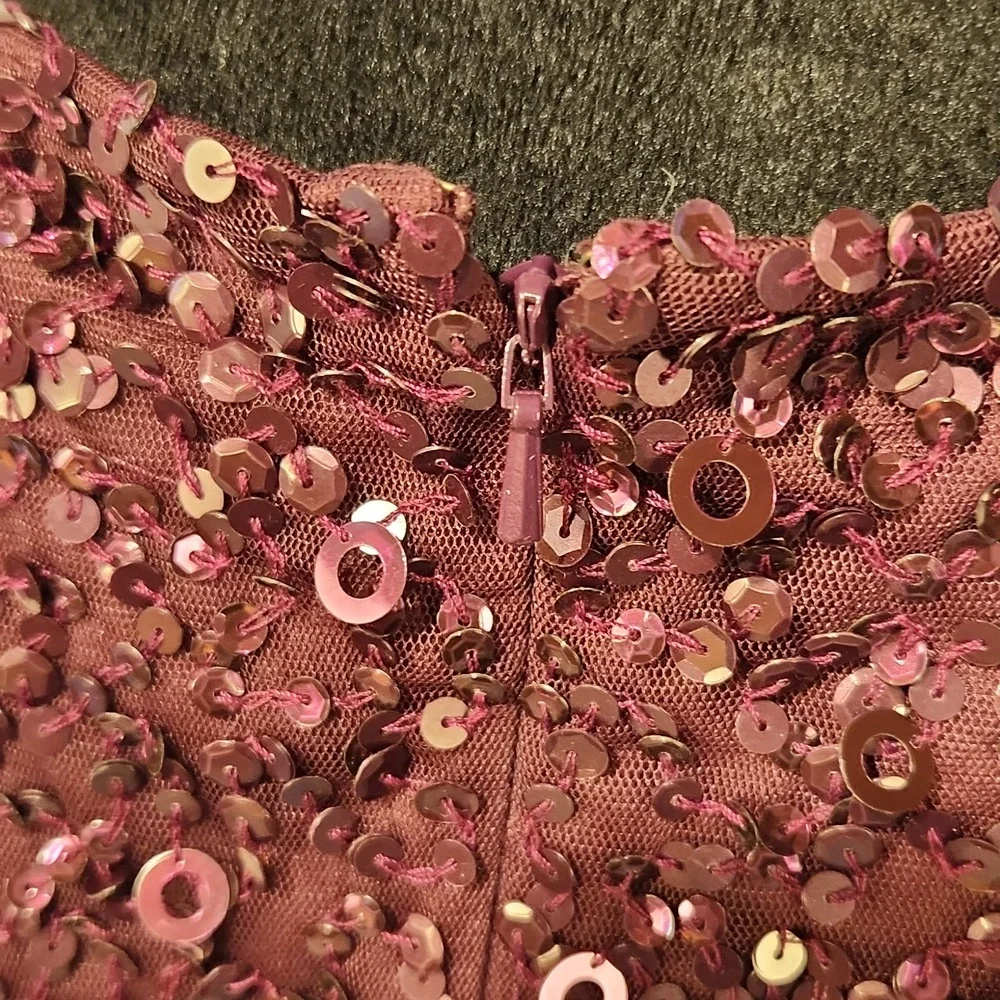 Adrianna Papell Beaded Long Blouson Dress Cassis 8 NWT - Picture 8 of 16